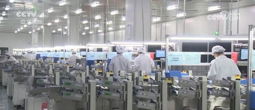 高技術(shù)服務業(yè)蓬勃發(fā)展 研發(fā)創(chuàng)新與大數(shù)據(jù)處理雙輪驅(qū)動